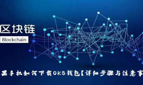 苹果手机如何下载OKB钱包？详细步骤与注意事项