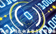 比特币钱包的类型与选择指南