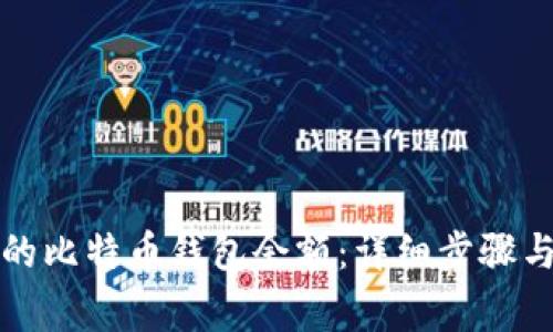 如何查询自己的比特币钱包余额：详细步骤与安全注意事项