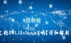 币信钱包支持SOL（Solana）吗？详细解析