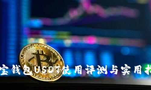波宝钱包USDT使用评测与实用指南