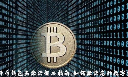 比特币钱包未激活解决指南:如何激活您的数字资产