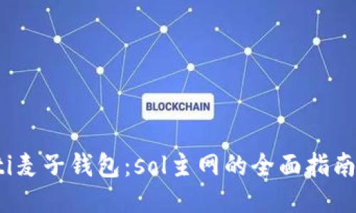 bianoti麦子钱包:sol主网的全面指南与应用