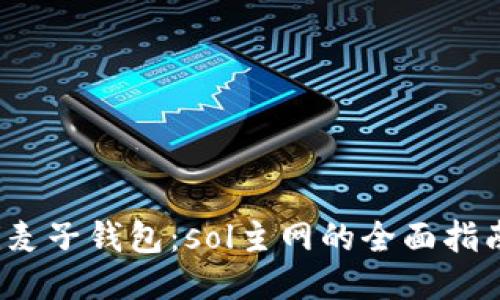 bianoti麦子钱包:sol主网的全面指南与应用