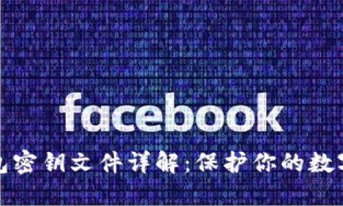比特币钱包密钥文件详解:保护你的数字资产安全