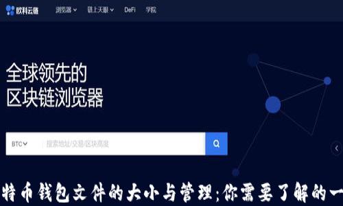 比特币钱包文件的大小与管理:你需要了解的一切