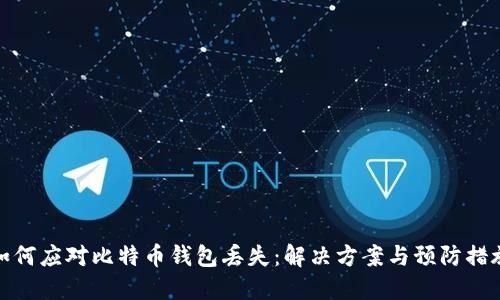如何应对比特币钱包丢失:解决方案与预防措施