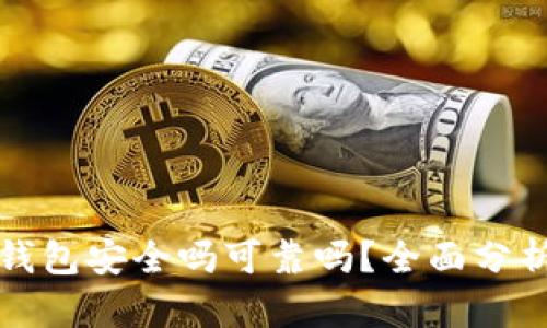 泰达币交易钱包安全吗可靠吗?全面分析及使用指南