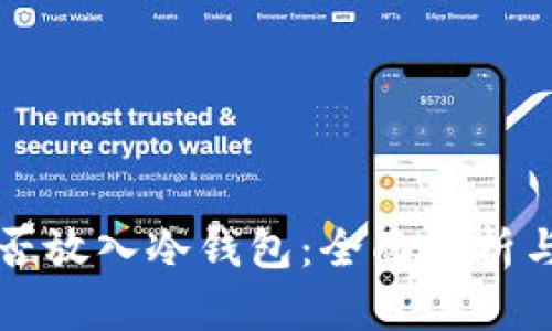 狗狗币能否放入冷钱包：全面解析与实用指南