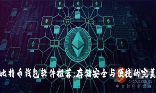 最佳比特币钱包软件推荐:存储安全与便捷的完美结合