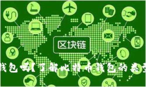 比特币能放钱包吗？了解比特币钱包的类型和使用技巧