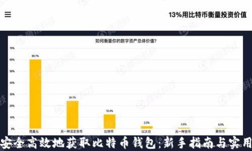 如何安全高效地获取比特币钱包:新手指南与实用建议