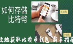 如何安全高效地获取比特币钱包：新手
