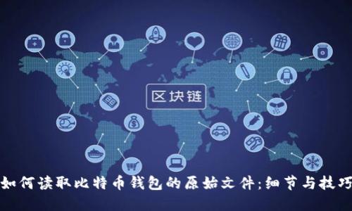 如何读取比特币钱包的原始文件：细节与技巧