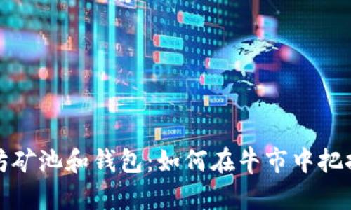 以太坊矿池和钱包：如何在牛市中把握机会