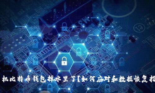 手机比特币钱包掉水里了?如何应对和数据恢复指南