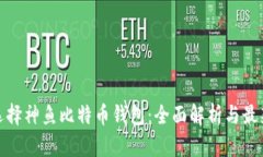 如何选择神鱼比特币钱包：全面解析与