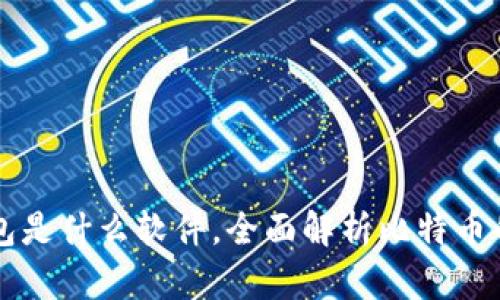 比特币官方钱包是什么软件，全面解析比特币的安全存储方式