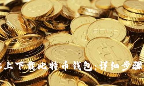 如何在电脑上下载比特币钱包：详细步骤与注意事项