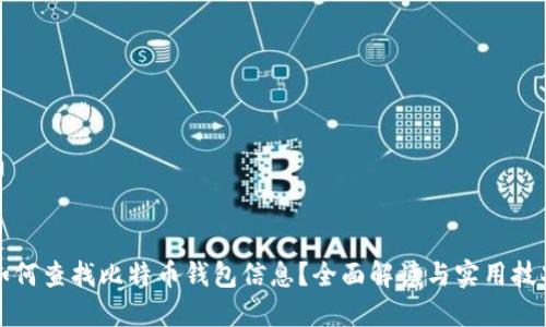 如何查找比特币钱包信息?全面解读与实用技巧