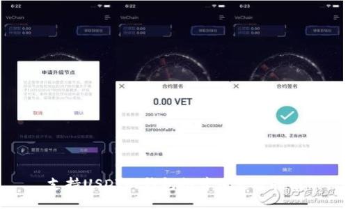 支持USDT的钱包推荐及使用指南