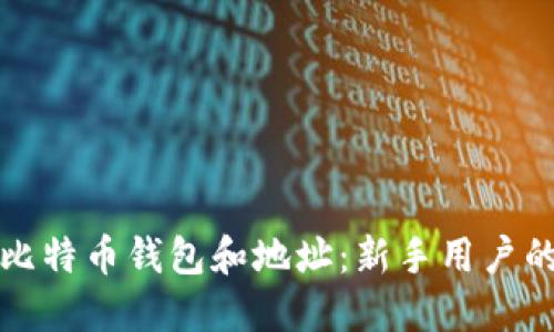 如何找到比特币钱包和地址:新手用户的终极指南