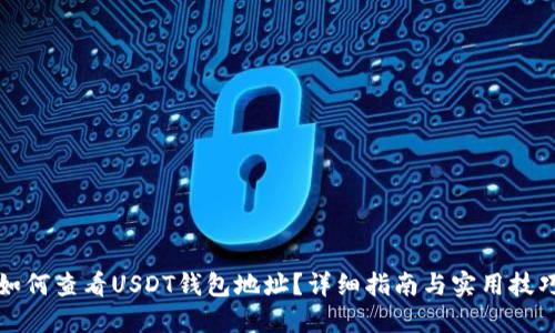如何查看USDT钱包地址?详细指南与实用技巧