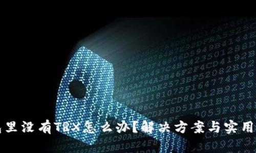 钱包里没有TRX怎么办?解决方案与实用指南