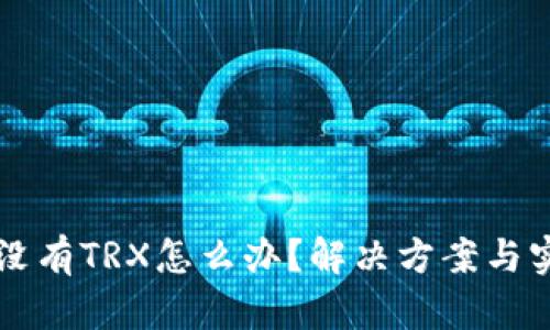 钱包里没有TRX怎么办?解决方案与实用指南