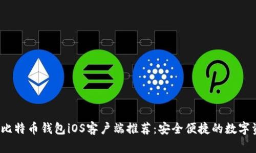 2023年最佳比特币钱包iOS客户端推荐:安全便捷的数字资产管理方式
