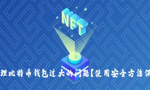 如何处理比特币钱包过大的问题?使用安全方法保障资产