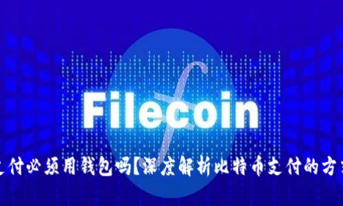 比特币支付必须用钱包吗?深度解析比特币支付的方式与选择