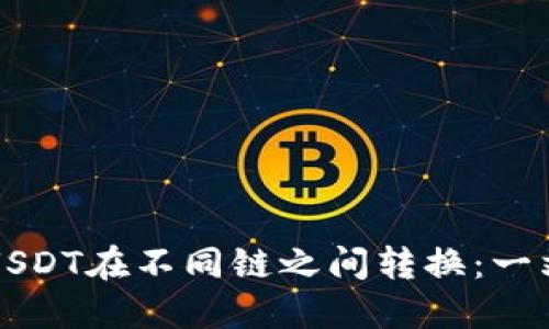 如何将USDT在不同链之间转换:一站式指南