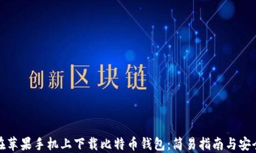 如何在苹果手机上下载比特币钱包:简易指南与安全建议