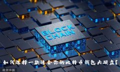 如何选择一款适合你的比特币钱包大硬