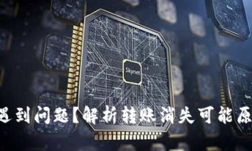 TRX钱包转账遇到问题？解析转账消失可能原因及解决方案
