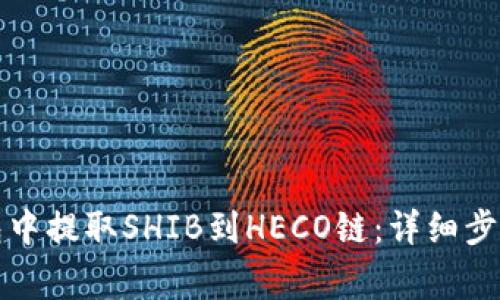 如何在TP钱包中提取SHIB到HECO链：详细步骤与注意事项