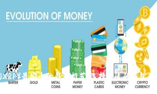 2023年瑞波币(XRP)最安全的钱包推荐,选择合适的钱包保管你的数字资产