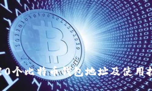 如何轻松查询10个比特币钱包地址及使用技巧的全面指南