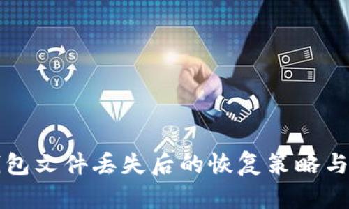 比特币钱包文件丢失后的恢复策略与解决方案