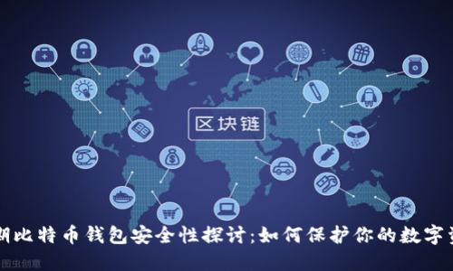 早期比特币钱包安全性探讨:如何保护你的数字资产