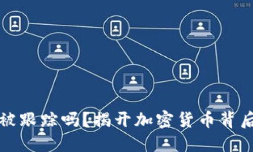 比特币钱包会被跟踪吗？揭开加密货币背后的隐私与安全