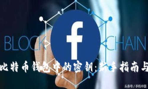 如何导入比特币钱包中的密钥:新手指南与实用技巧