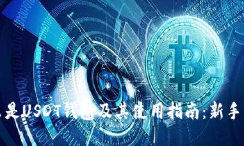 什么是USDT钱包及其使用指南:新手必读