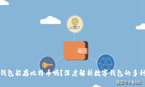 数字钱包能存比特币吗?深度解析数字钱包的多种功能