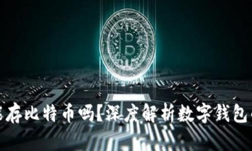 数字钱包能存比特币吗?深度解析数字钱包的多种功能